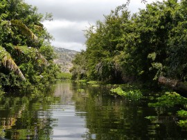 Immersion au coeur de l'étang en kayak