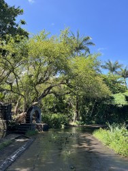 Atelier découverte gratuit ! La faune aquatique du "Moulin à eau et ses secrets"