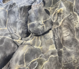 Atelier d’aquarelle libre - Colore cet instant