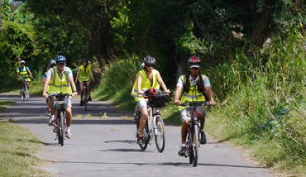 La location de vélo à assistance électrique suspendue