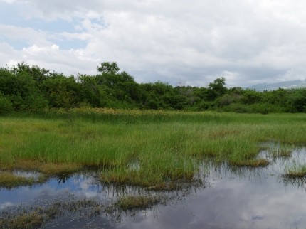 L'agence française de la biodiversité soutient le projet de restauration de la prairie humide